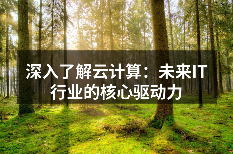 深入了解云计算：未来IT行业的核心驱动力